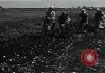 Image of potato farming Germany, 1950, second 35 stock footage video 65675027098