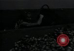 Image of potato farming Germany, 1950, second 45 stock footage video 65675027098