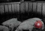 Image of potato farming Germany, 1950, second 46 stock footage video 65675027098