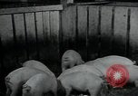 Image of potato farming Germany, 1950, second 49 stock footage video 65675027098