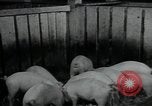Image of potato farming Germany, 1950, second 50 stock footage video 65675027098