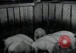 Image of potato farming Germany, 1950, second 51 stock footage video 65675027098