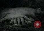 Image of potato farming Germany, 1950, second 53 stock footage video 65675027098