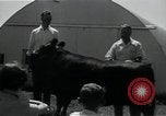 Image of 4-H club members United States USA, 1950, second 45 stock footage video 65675027099