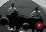 Image of 4-H club members United States USA, 1950, second 46 stock footage video 65675027099
