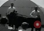 Image of 4-H club members United States USA, 1950, second 47 stock footage video 65675027099