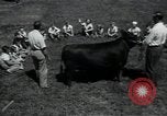 Image of 4-H club members United States USA, 1950, second 53 stock footage video 65675027099