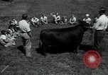 Image of 4-H club members United States USA, 1950, second 54 stock footage video 65675027099