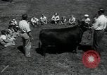 Image of 4-H club members United States USA, 1950, second 55 stock footage video 65675027099