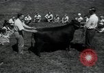 Image of 4-H club members United States USA, 1950, second 62 stock footage video 65675027099