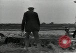 Immagine di Gli agricoltori Camargue Francia, 1950, secondo 28 filmato di repertorio 65675027100