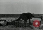 Immagine di Gli agricoltori Camargue Francia, 1950, secondo 30 filmato di repertorio 65675027100