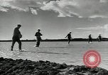 Immagine di Gli agricoltori Camargue Francia, 1950, secondo 44 filmato di repertorio 65675027100