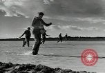 Immagine di Gli agricoltori Camargue Francia, 1950, secondo 51 filmato di repertorio 65675027100