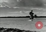 Immagine di Gli agricoltori Camargue Francia, 1950, secondo 56 filmato di repertorio 65675027100