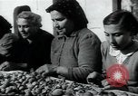 Immagine di La vita in terra di Puglia Puglia Italia, 1950, secondo 55 filmato di repertorio 65675027102