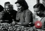 Immagine di La vita in terra di Puglia Puglia Italia, 1950, secondo 56 filmato di repertorio 65675027102