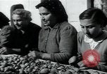 Immagine di La vita in terra di Puglia Puglia Italia, 1950, secondo 57 filmato di repertorio 65675027102