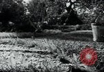 Standbild Wassermangel Apulien Italien, 1950, aus Sekunde 25 historischem Filmmaterial Videoclip 65675027103