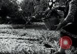Standbild Wassermangel Apulien Italien, 1950, aus Sekunde 26 historischem Filmmaterial Videoclip 65675027103