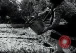 Standbild Wassermangel Apulien Italien, 1950, aus Sekunde 27 historischem Filmmaterial Videoclip 65675027103