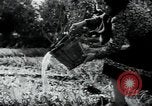 Standbild Wassermangel Apulien Italien, 1950, aus Sekunde 29 historischem Filmmaterial Videoclip 65675027103