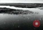 Standbild Menschen in Apulien Apulien Italien, 1950, aus Sekunde 15 historischem Filmmaterial Videoclip 65675027104
