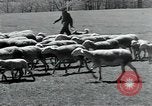 Standbild Branchen Mazamet in Frankreich, 1950, aus Sekunde 37 historischem Filmmaterial Videoclip 65675027106