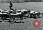 Standbild Branchen Mazamet in Frankreich, 1950, aus Sekunde 38 historischem Filmmaterial Videoclip 65675027106