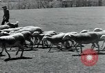 Standbild Branchen Mazamet in Frankreich, 1950, aus Sekunde 39 historischem Filmmaterial Videoclip 65675027106