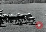 Standbild Branchen Mazamet in Frankreich, 1950, aus Sekunde 40 historischem Filmmaterial Videoclip 65675027106