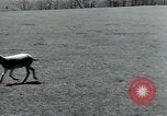 Standbild Branchen Mazamet in Frankreich, 1950, aus Sekunde 42 historischem Filmmaterial Videoclip 65675027106