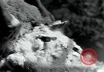 Standbild wolle Werk Mazamet in Frankreich, 1950, aus Sekunde 18 historischem Filmmaterial Videoclip 65675027107