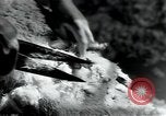Standbild wolle Werk Mazamet in Frankreich, 1950, aus Sekunde 19 historischem Filmmaterial Videoclip 65675027107