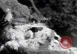 Standbild wolle Werk Mazamet in Frankreich, 1950, aus Sekunde 20 historischem Filmmaterial Videoclip 65675027107