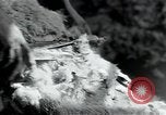 Standbild wolle Werk Mazamet in Frankreich, 1950, aus Sekunde 21 historischem Filmmaterial Videoclip 65675027107