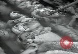 Standbild wolle Werk Mazamet in Frankreich, 1950, aus Sekunde 22 historischem Filmmaterial Videoclip 65675027107