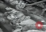 Standbild wolle Werk Mazamet in Frankreich, 1950, aus Sekunde 23 historischem Filmmaterial Videoclip 65675027107