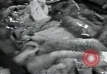 Standbild wolle Werk Mazamet in Frankreich, 1950, aus Sekunde 26 historischem Filmmaterial Videoclip 65675027107