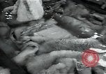 Standbild wolle Werk Mazamet in Frankreich, 1950, aus Sekunde 27 historischem Filmmaterial Videoclip 65675027107