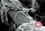Standbild wolle Werk Mazamet in Frankreich, 1950, aus Sekunde 29 historischem Filmmaterial Videoclip 65675027107