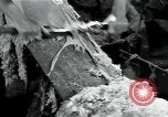 Standbild wolle Werk Mazamet in Frankreich, 1950, aus Sekunde 30 historischem Filmmaterial Videoclip 65675027107