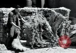 Standbild wolle Werk Mazamet in Frankreich, 1950, aus Sekunde 52 historischem Filmmaterial Videoclip 65675027107