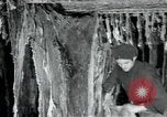 Immagine di Fabbrica di lana Mazamet Francia, 1950, secondo 1 filmato di repertorio 65675027108