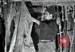 Immagine di Fabbrica di lana Mazamet Francia, 1950, secondo 3 filmato di repertorio 65675027108