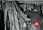 Immagine di Fabbrica di lana Mazamet Francia, 1950, secondo 4 filmato di repertorio 65675027108