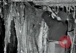 Immagine di Fabbrica di lana Mazamet Francia, 1950, secondo 5 filmato di repertorio 65675027108