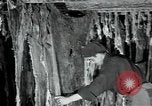 Immagine di Fabbrica di lana Mazamet Francia, 1950, secondo 6 filmato di repertorio 65675027108