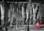 Immagine di Fabbrica di lana Mazamet Francia, 1950, secondo 10 filmato di repertorio 65675027108