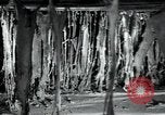 Immagine di Fabbrica di lana Mazamet Francia, 1950, secondo 11 filmato di repertorio 65675027108